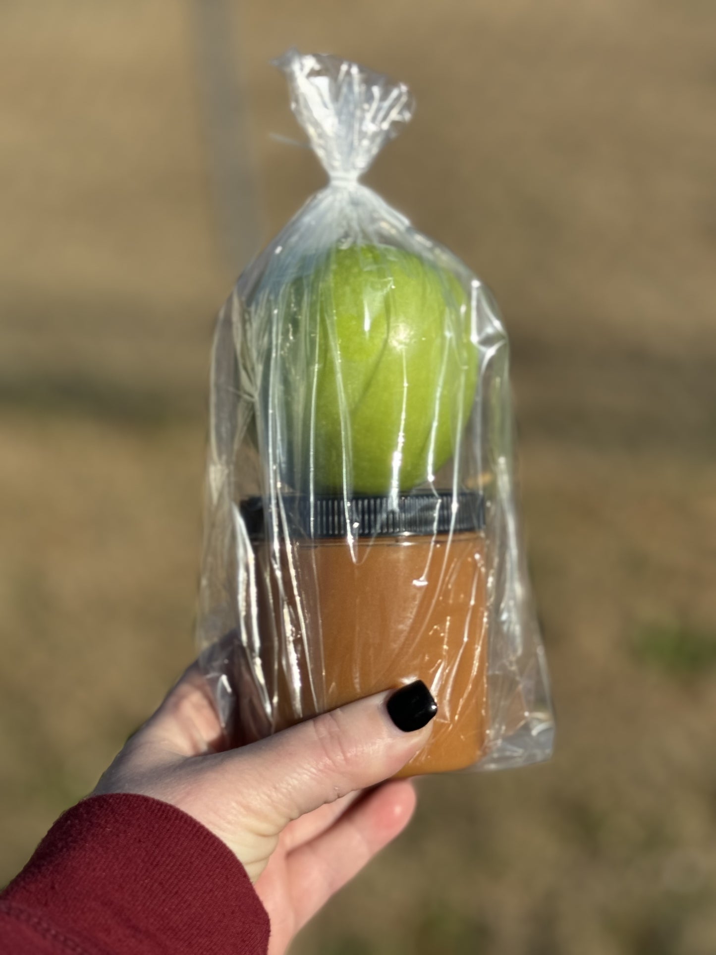 Caramel apple Kit